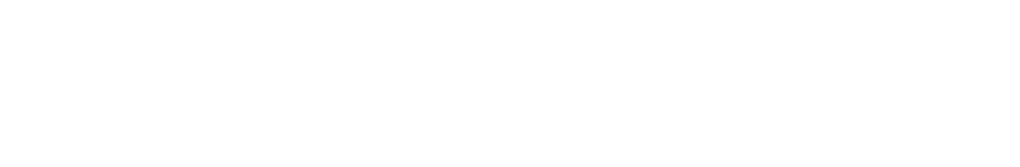 WITDATA